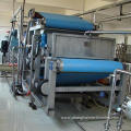 Lemon Juice Processing Line